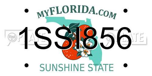 1SSI856 Florida License Plate
