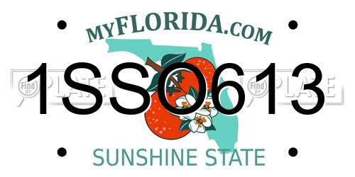 1SSO613 Florida License Plate