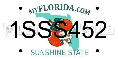 1SSS452 Florida License Plate
