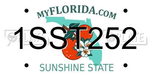 1SST252 Florida License Plate