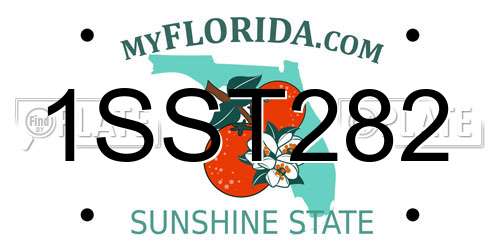 1SST282 Florida License Plate