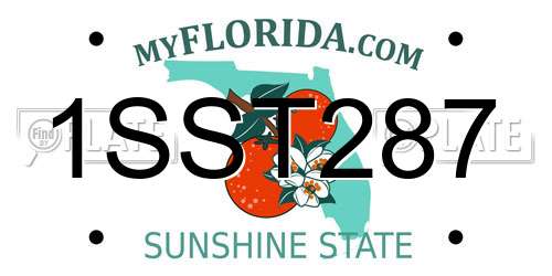 1SST287 Florida License Plate