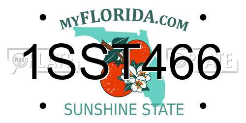 1SST466 Florida License Plate