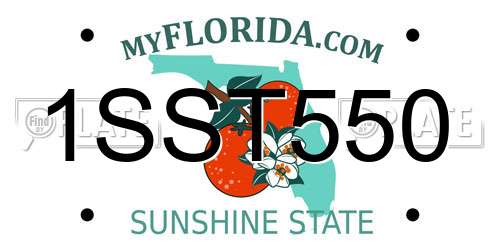 1SST550 Florida License Plate