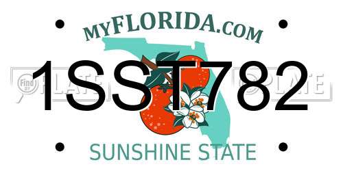 1SST782 Florida License Plate