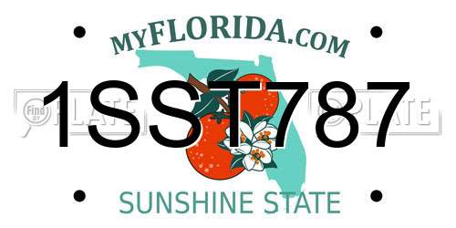1SST787 Florida License Plate