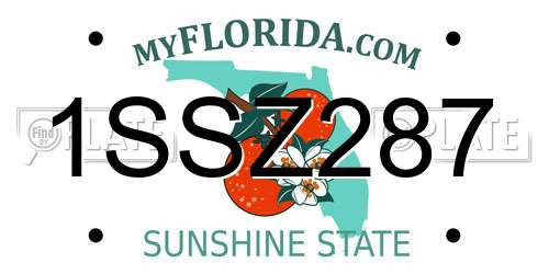 1SSZ287 Florida License Plate
