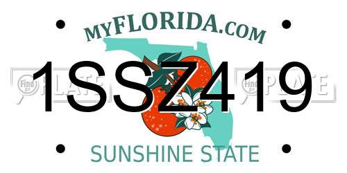 1SSZ419 Florida License Plate