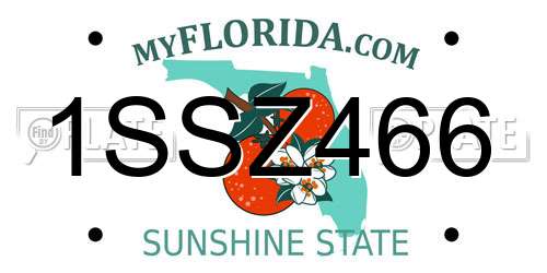 1SSZ466 Florida License Plate
