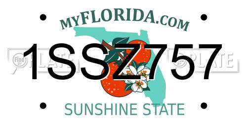 1SSZ757 Florida License Plate