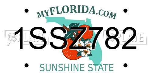 1SSZ782 Florida License Plate