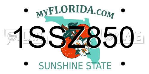 1SSZ850 Florida License Plate