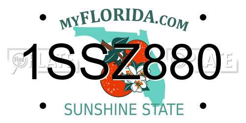 1SSZ880 Florida License Plate