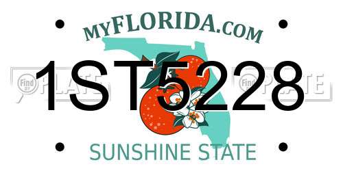 1ST5228 Florida License Plate