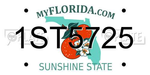 1ST5725 Florida License Plate