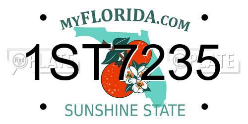 1ST7235 Florida License Plate