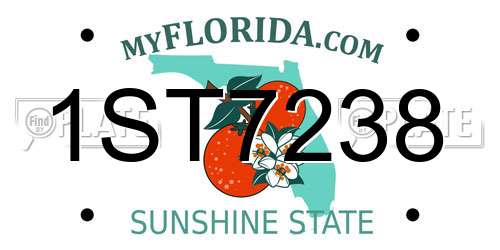 1ST7238 Florida License Plate