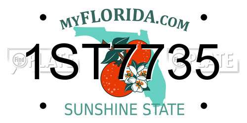 1ST7735 Florida License Plate