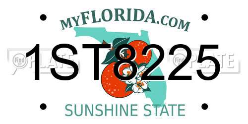 1ST8225 Florida License Plate