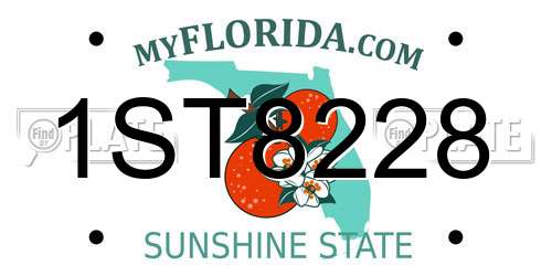1ST8228 Florida License Plate