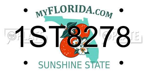 1ST8278 Florida License Plate