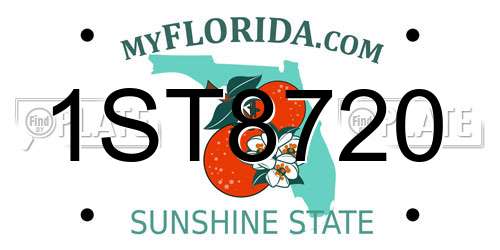 1ST8720 Florida License Plate