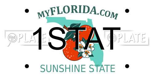 1STAT Florida License Plate