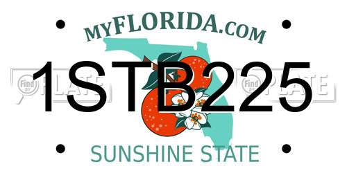 1STB225 Florida License Plate