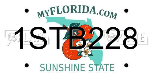 1STB228 Florida License Plate