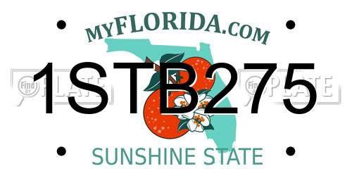 1STB275 Florida License Plate