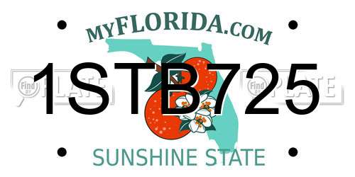 1STB725 Florida License Plate