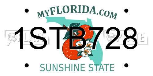 1STB728 Florida License Plate