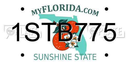 1STB775 Florida License Plate