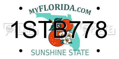 1STB778 Florida License Plate