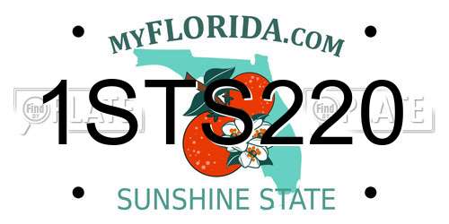 1STS220 Florida License Plate
