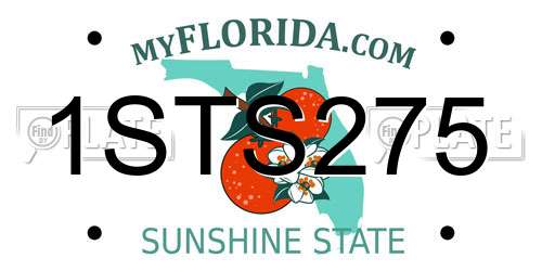 1STS275 Florida License Plate