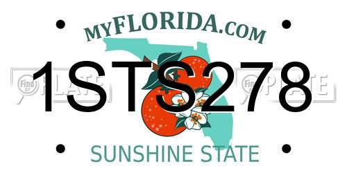 1STS278 Florida License Plate