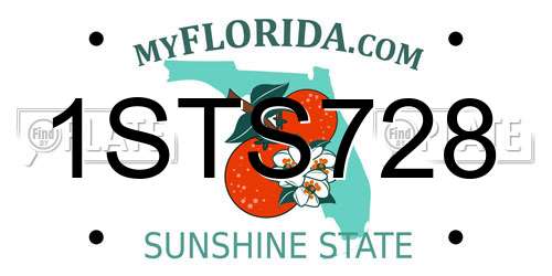 1STS728 Florida License Plate