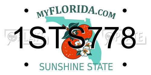 1STS778 Florida License Plate