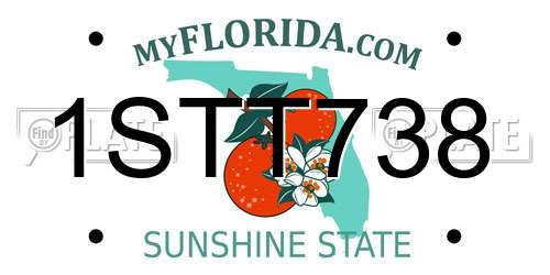 1STT738 Florida License Plate