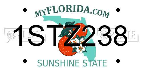 1STZ238 Florida License Plate