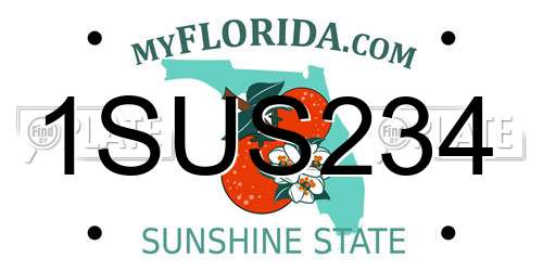1SUS234 Florida License Plate