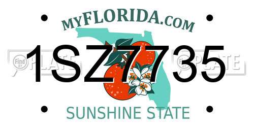 1SZ7735 Florida License Plate