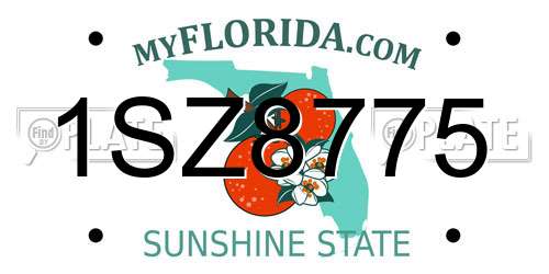 1SZ8775 Florida License Plate