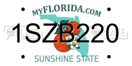1SZB220 Florida License Plate