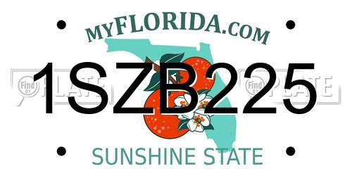1SZB225 Florida License Plate