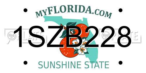 1SZB228 Florida License Plate
