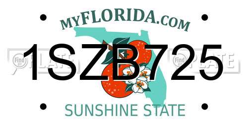 1SZB725 Florida License Plate