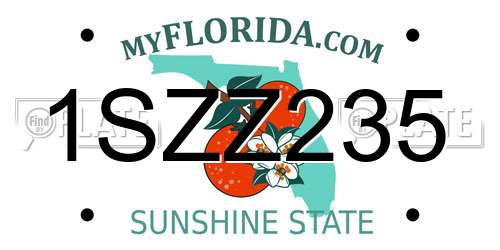 1SZZ235 Florida License Plate