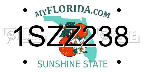 1SZZ238 Florida License Plate